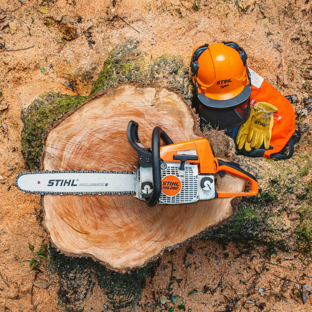 MS 250 CHAINSAW